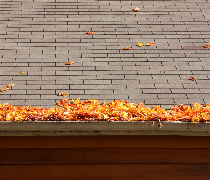 Autumn leaves on a roof and collecting in the gutter